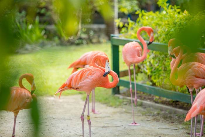 BMOT-Gallery-32 (1) - GALLERY.jpg